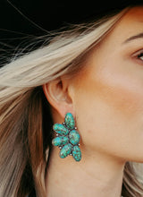 Load image into Gallery viewer, Buffalo Trap Earrings
